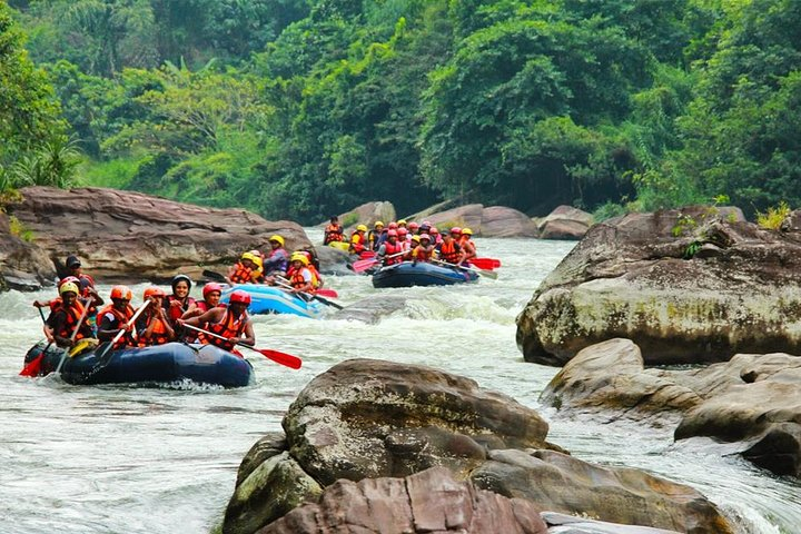 White Water Rafting in Kitulgala - Photo 1 of 6